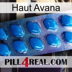Top Avana viagra1